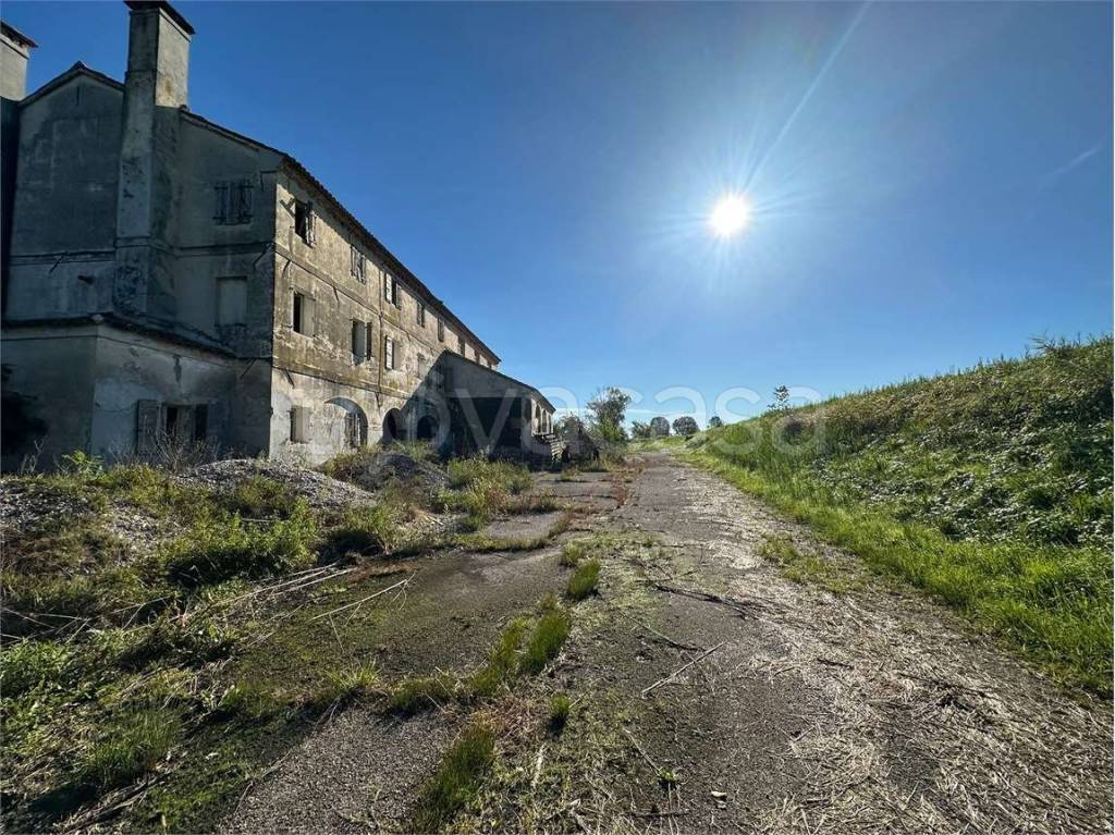 immagine annuncio 7 di 8