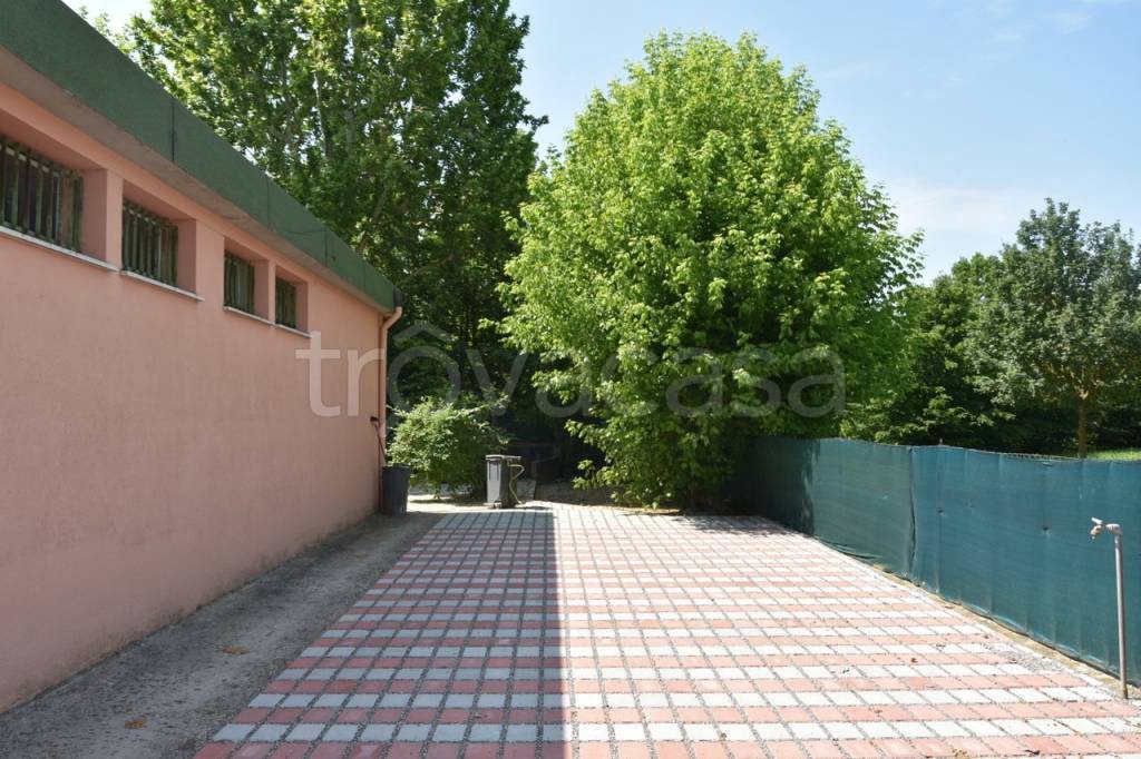 immagine annuncio 4 di 7