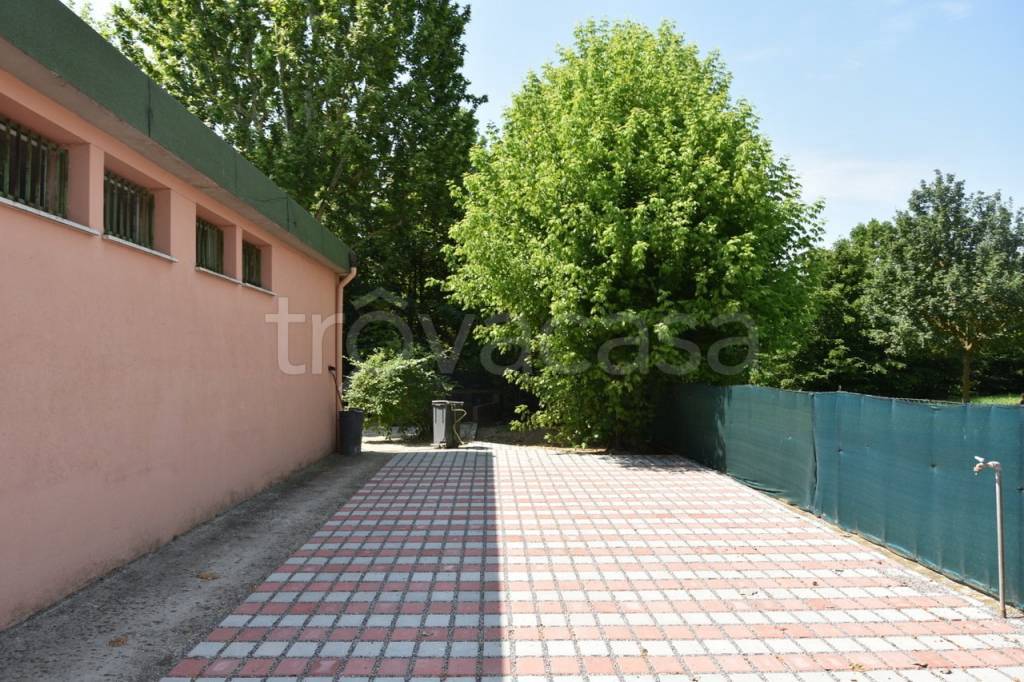 immagine annuncio 5 di 7