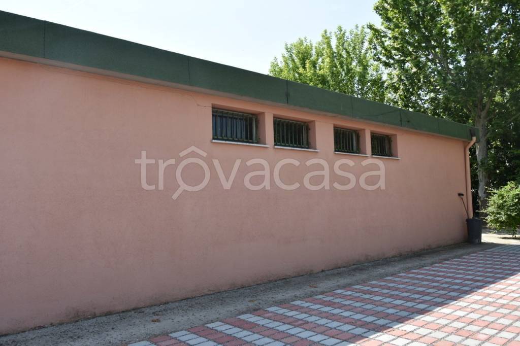 immagine annuncio 6 di 7