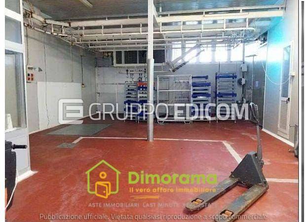 immagine annuncio 8 di 15