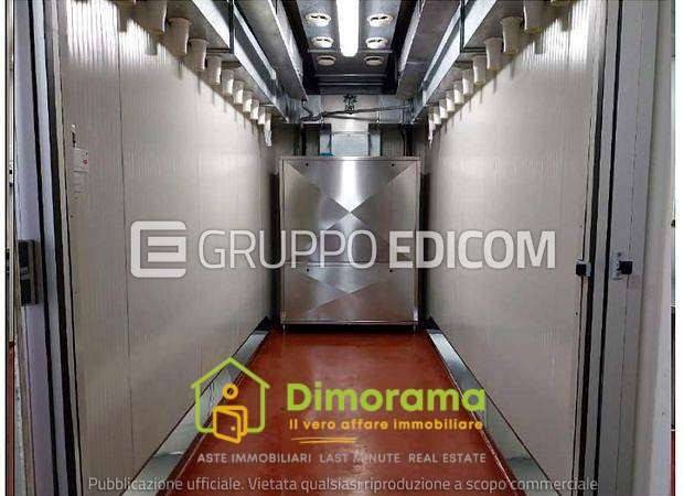 immagine annuncio 10 di 15