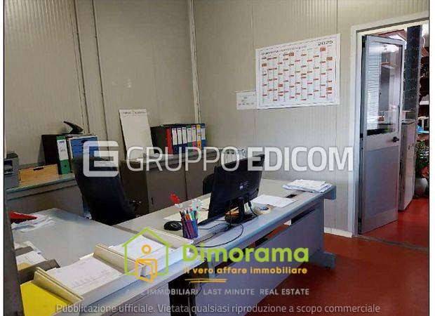 immagine annuncio 13 di 15