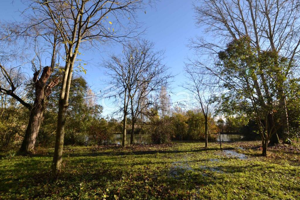 immagine annuncio 13 di 14