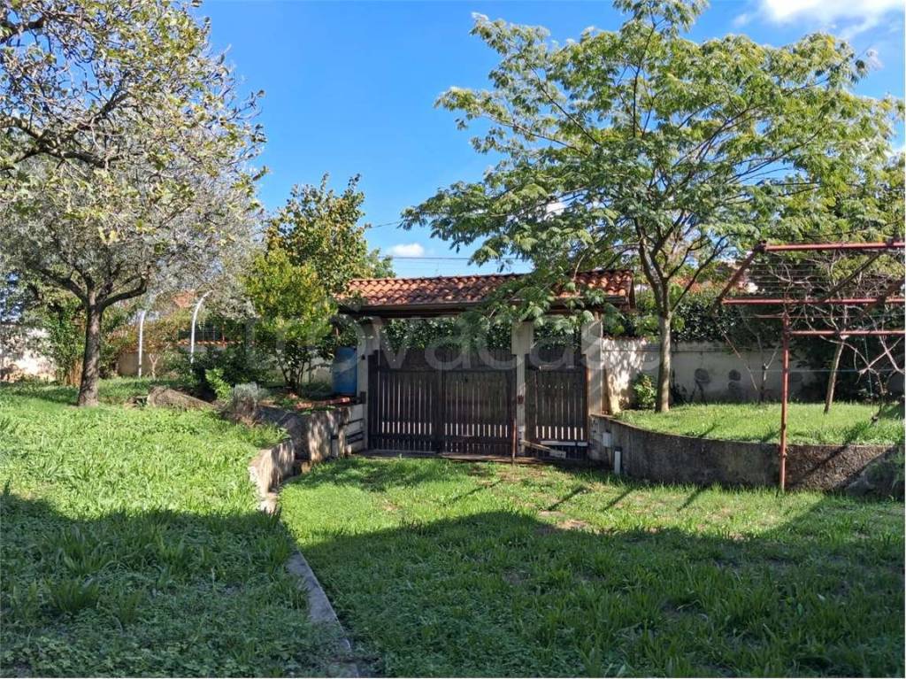 immagine annuncio 4 di 13