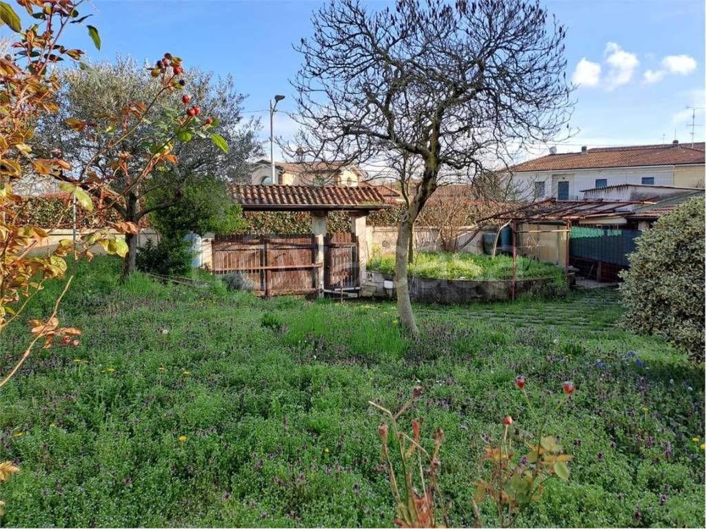 immagine annuncio 5 di 13