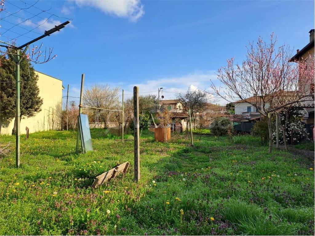 immagine annuncio 9 di 13