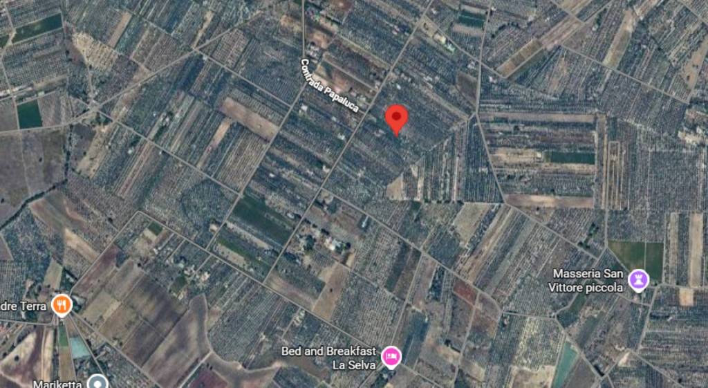 immagine annuncio 1 di 11