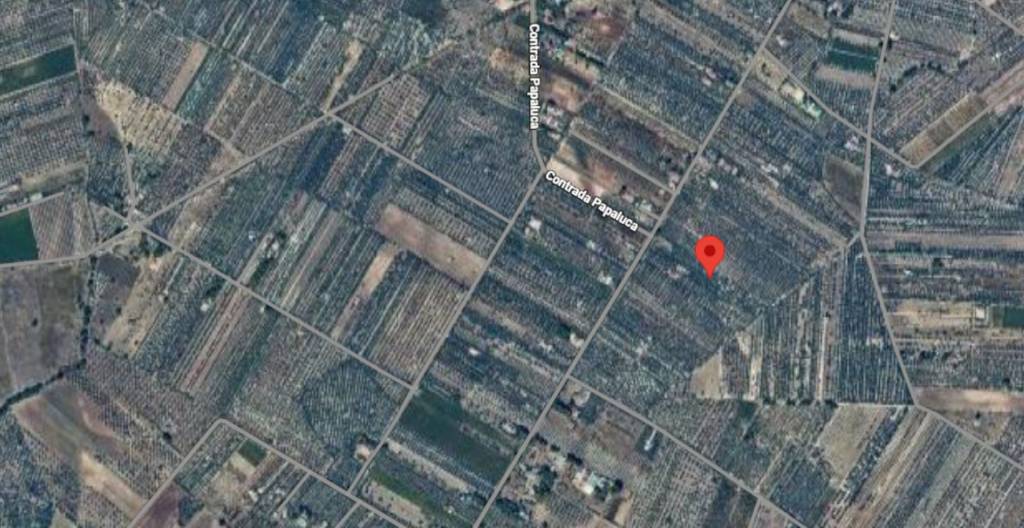 immagine annuncio 2 di 11