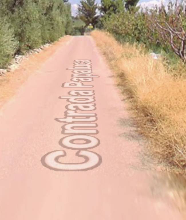 immagine annuncio 5 di 11