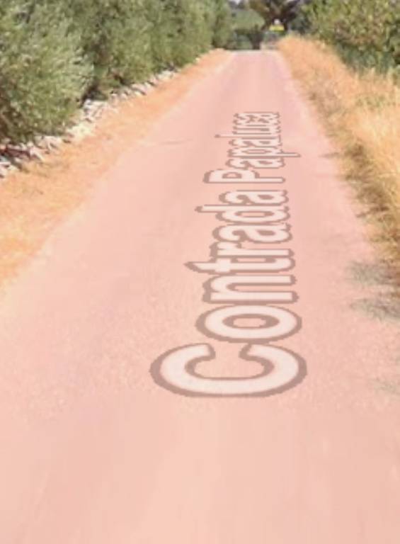 immagine annuncio 6 di 11