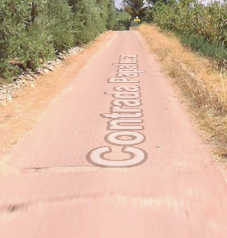 immagine annuncio 7 di 11