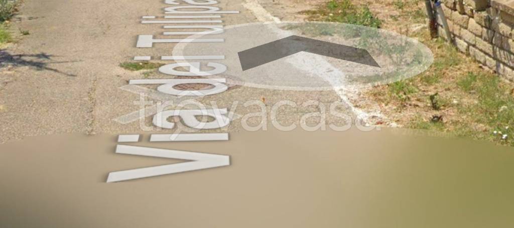 immagine annuncio 3 di 11