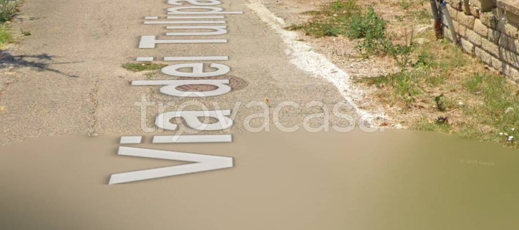 immagine annuncio 4 di 11