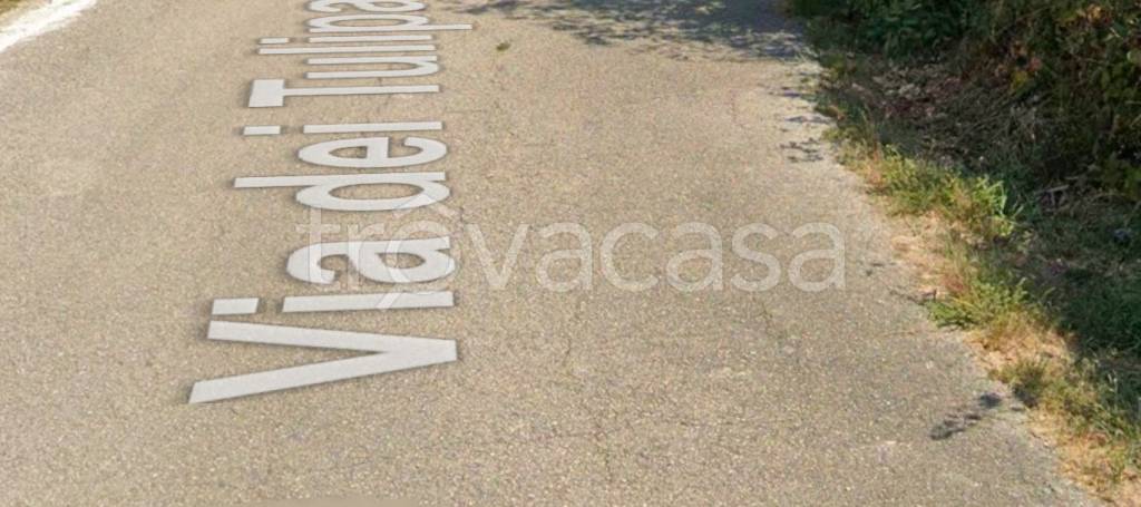 immagine annuncio 8 di 11