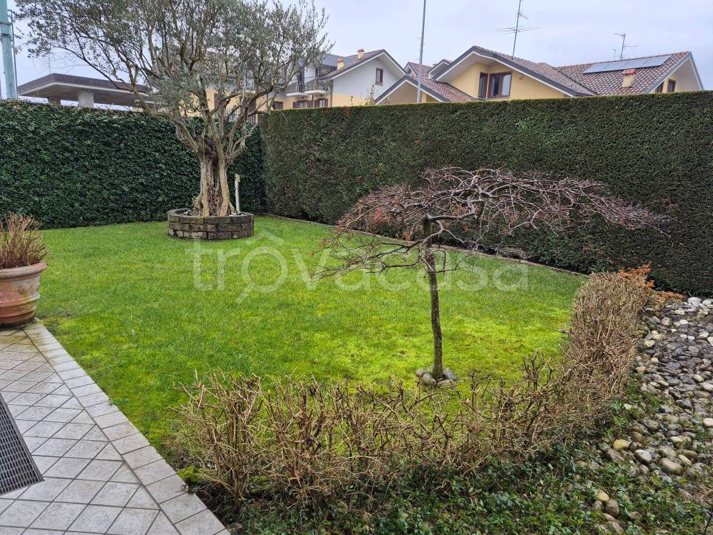 immagine annuncio 7 di 15