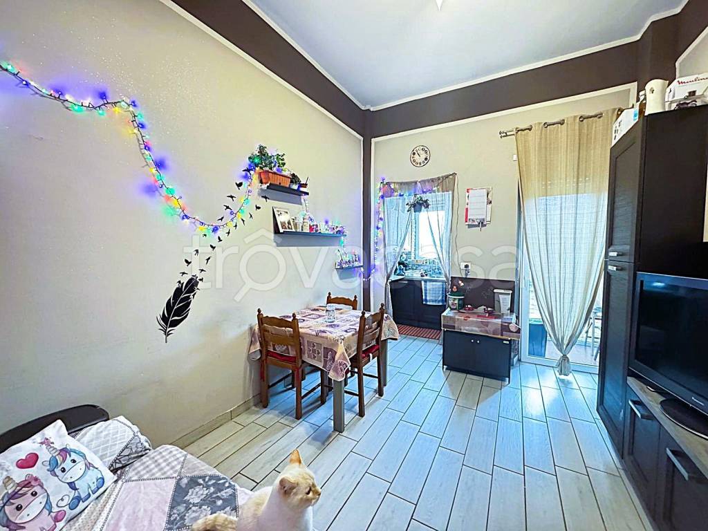 immagine annuncio 4 di 12