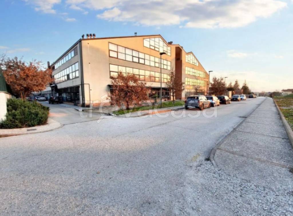 immagine annuncio 4 di 11