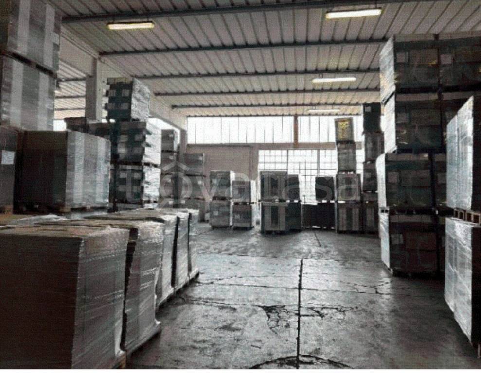 immagine annuncio 5 di 11