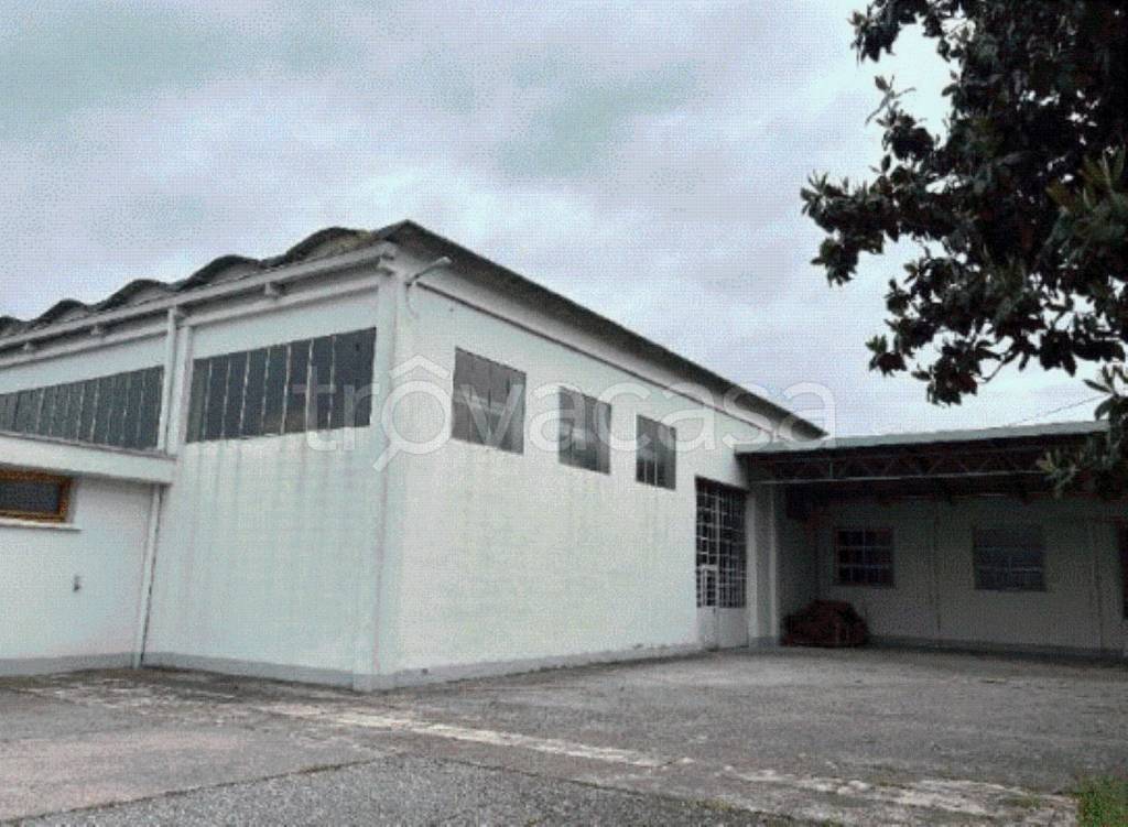 immagine annuncio 7 di 11