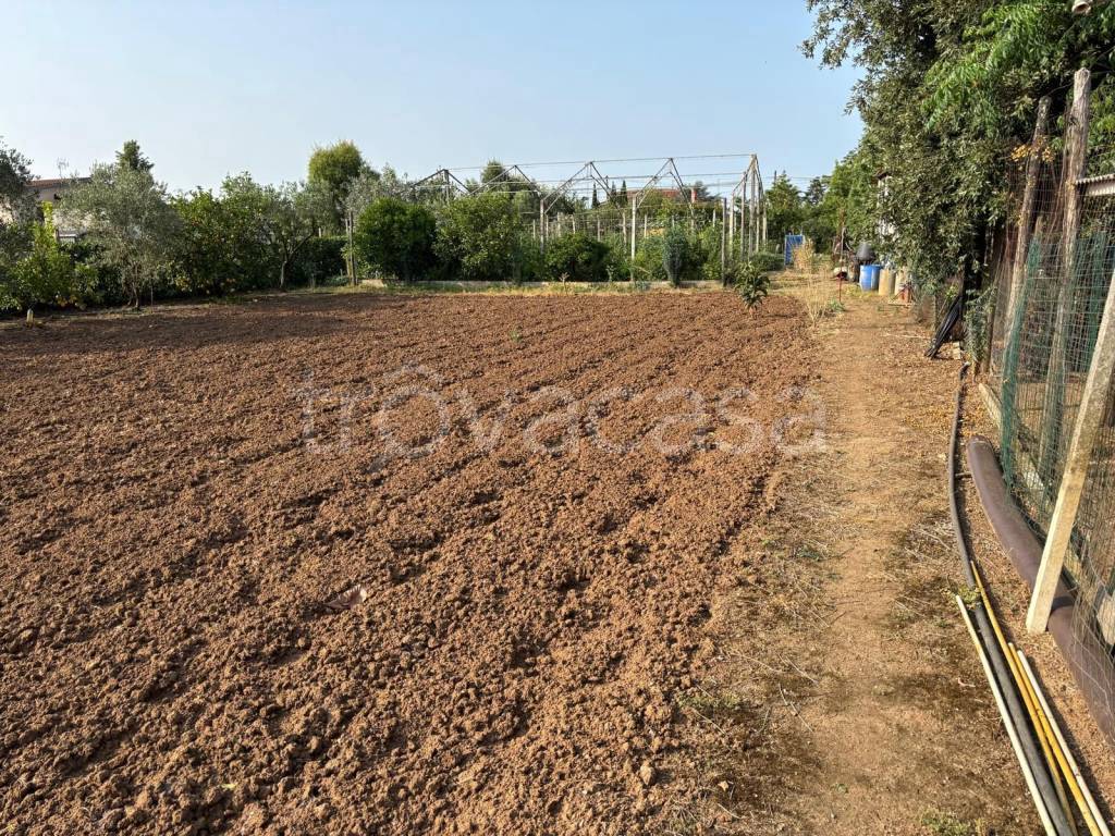 immagine annuncio 3 di 11