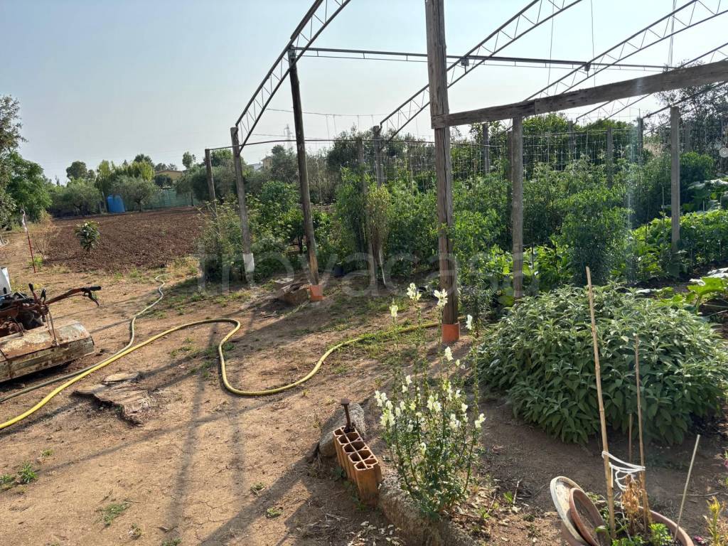 immagine annuncio 6 di 11