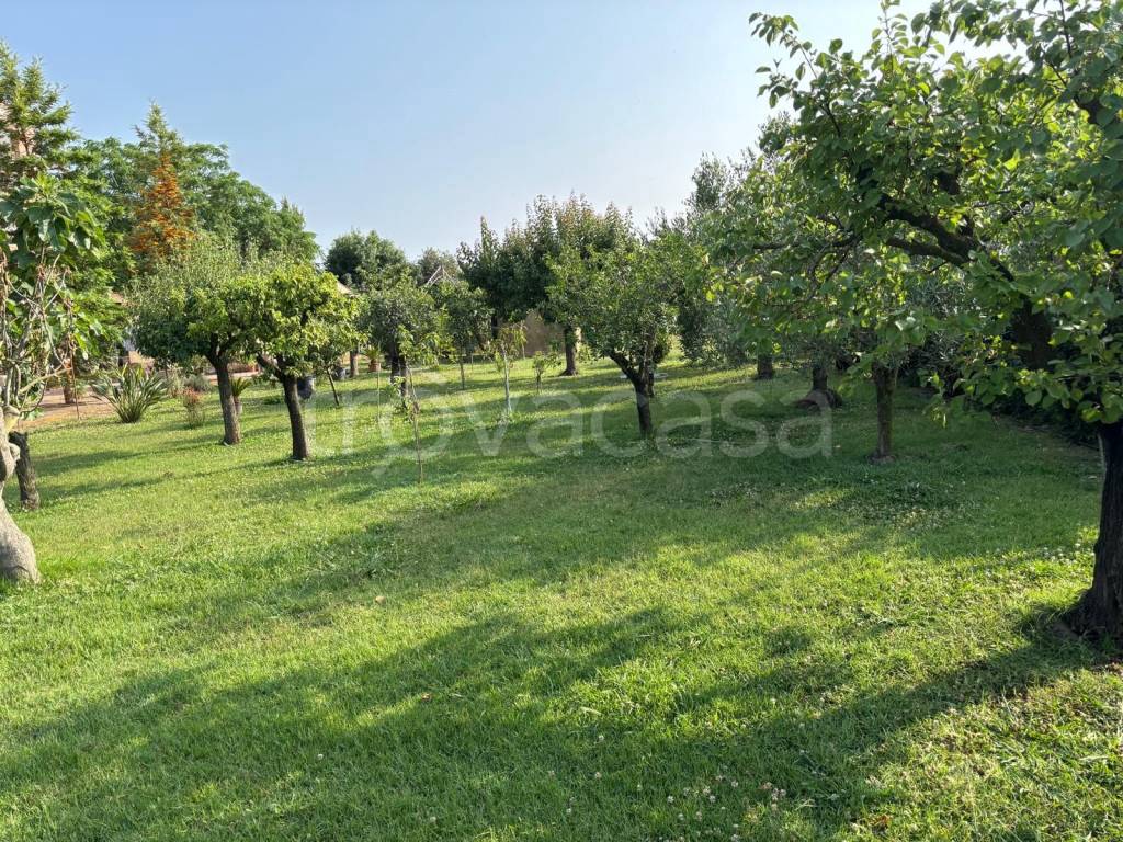 immagine annuncio 8 di 11