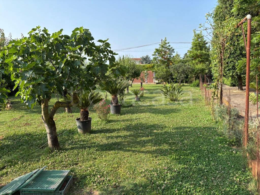 immagine annuncio 10 di 11