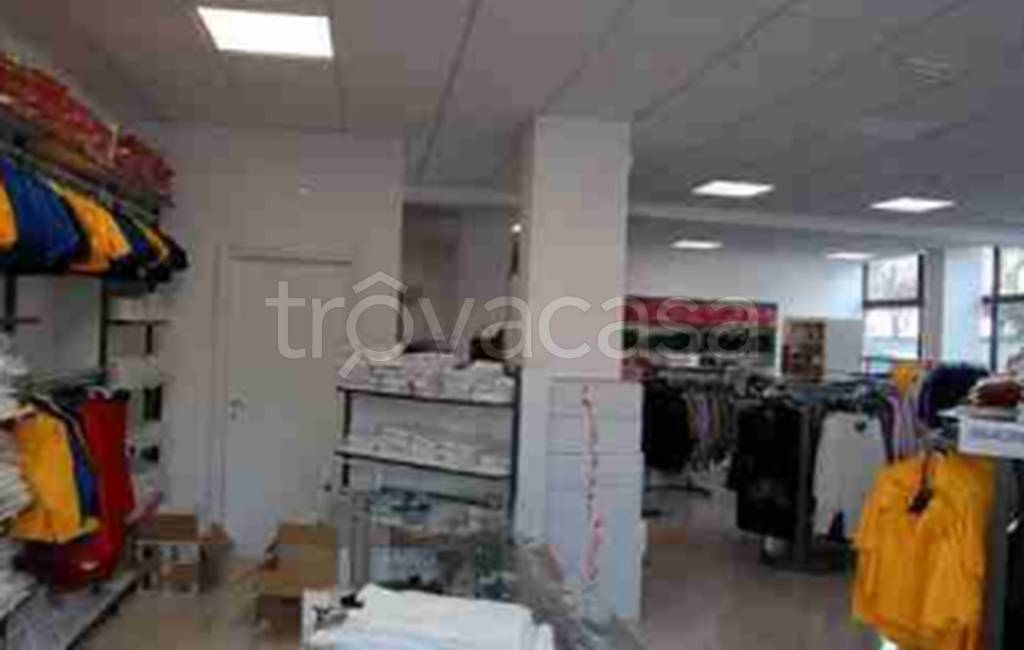 immagine annuncio 6 di 11