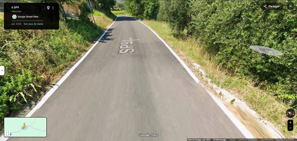 immagine annuncio 2 di 13