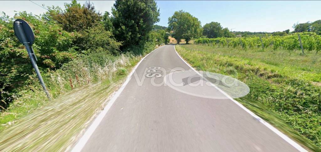 immagine annuncio 9 di 13