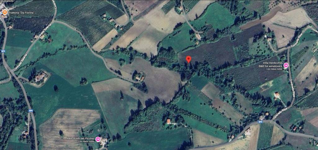 immagine annuncio 12 di 13