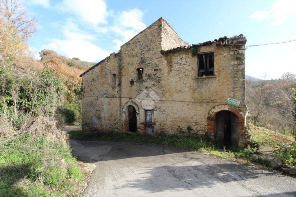 immagine annuncio 3 di 11