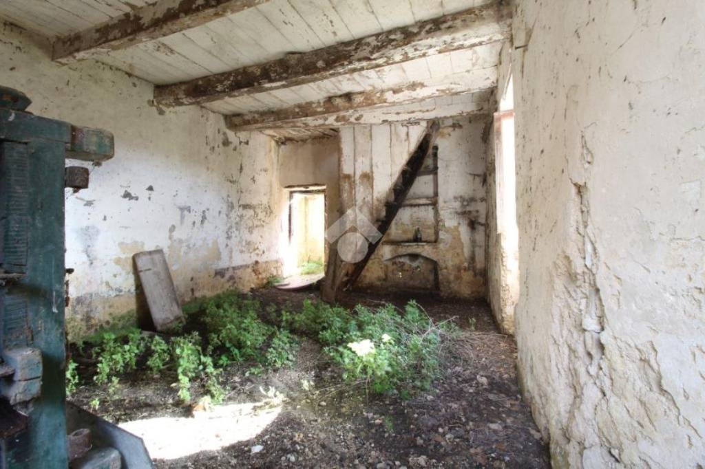 immagine annuncio 6 di 11