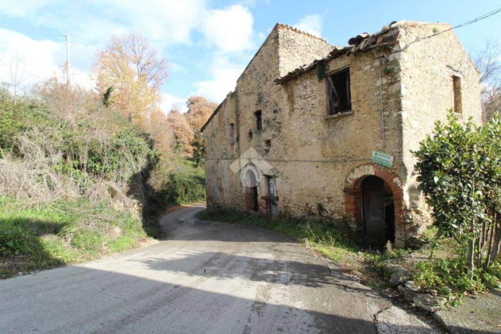 immagine annuncio 9 di 11