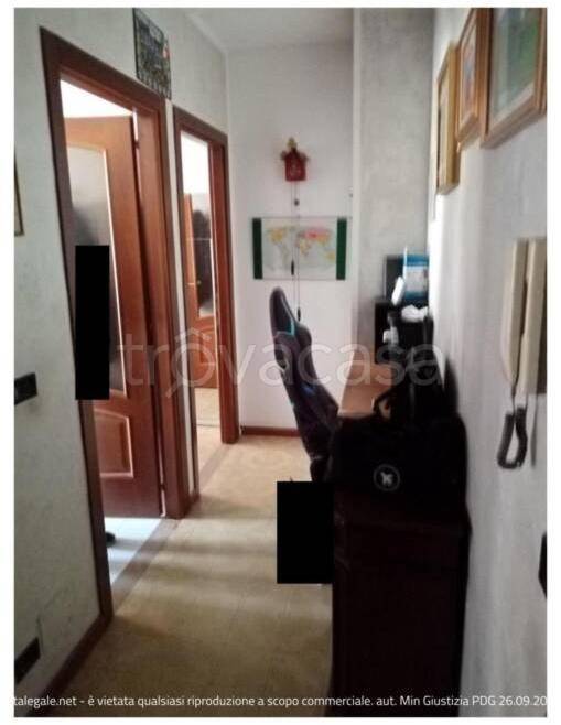 immagine annuncio 3 di 14