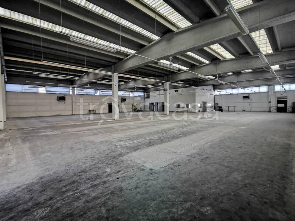 immagine annuncio 2 di 9