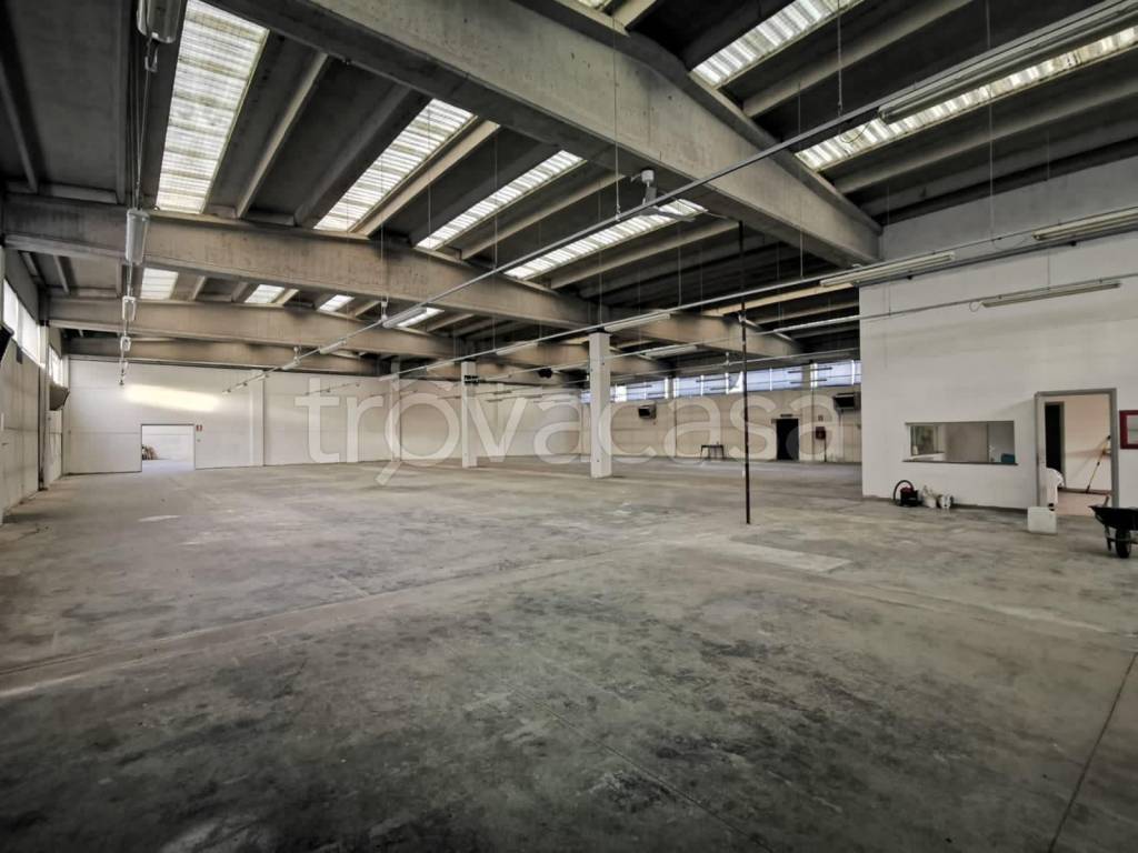 immagine annuncio 4 di 9