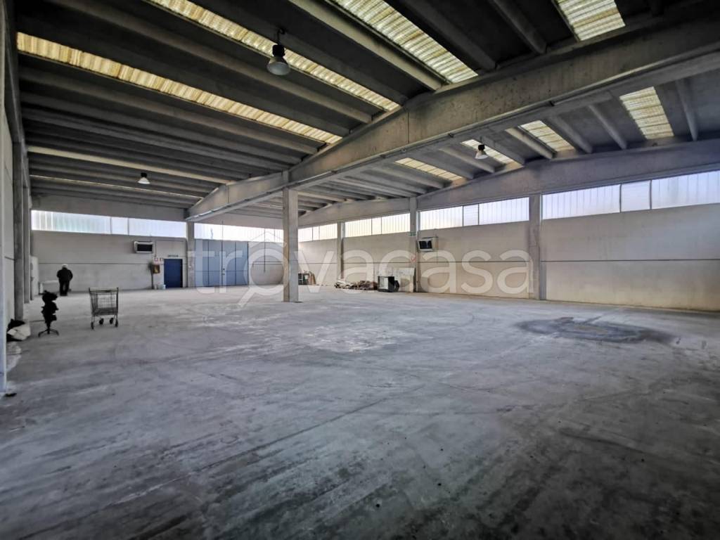 immagine annuncio 5 di 9