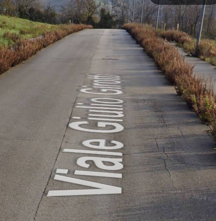 immagine annuncio 4 di 12