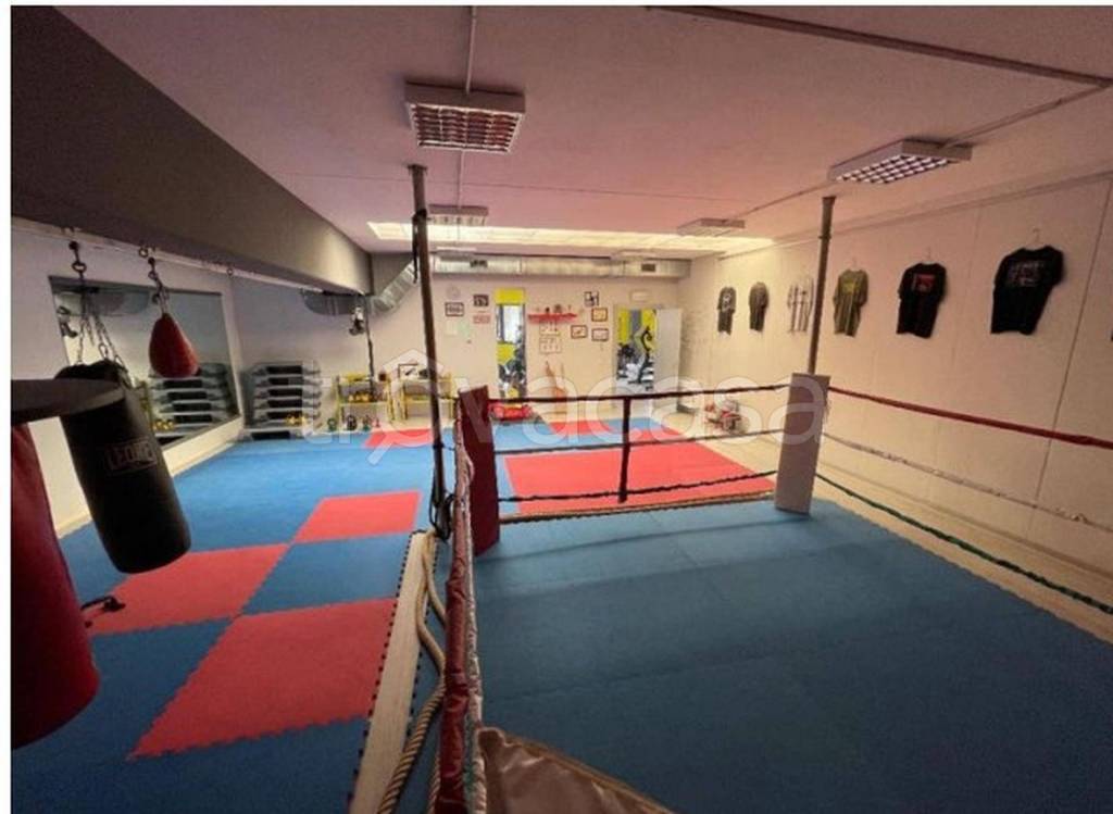 immagine annuncio 1 di 13