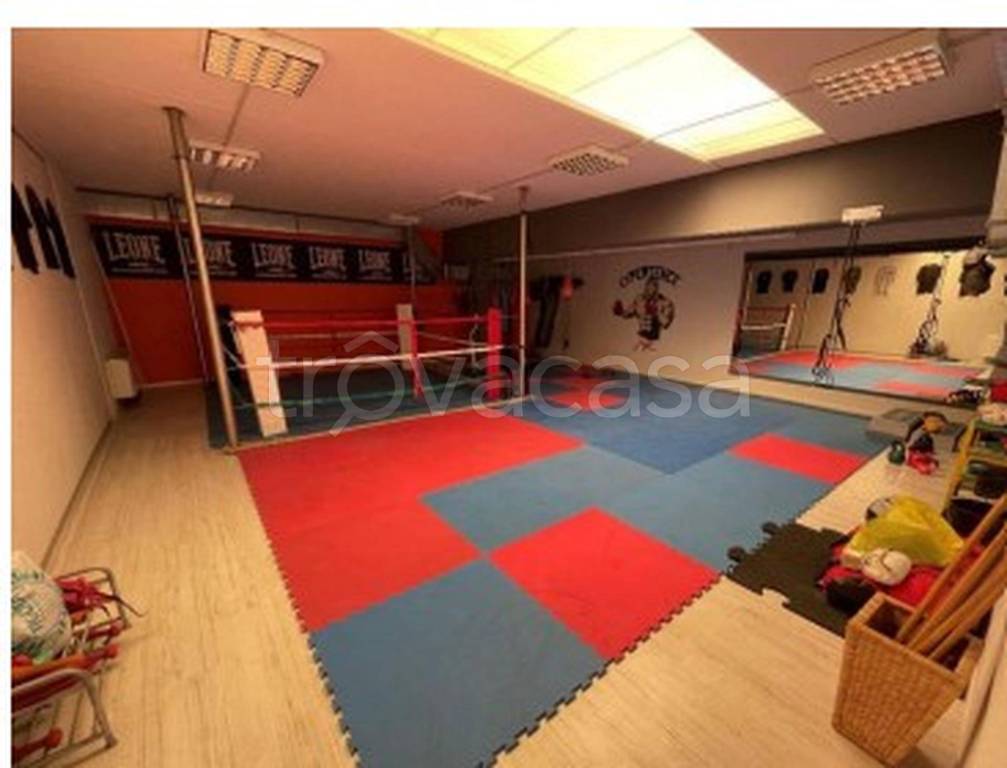 immagine annuncio 2 di 13