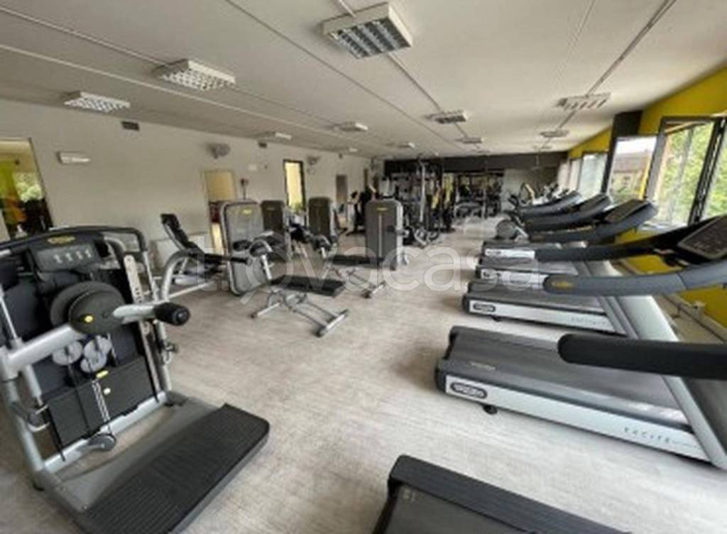 immagine annuncio 5 di 13