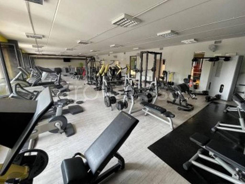 immagine annuncio 6 di 13