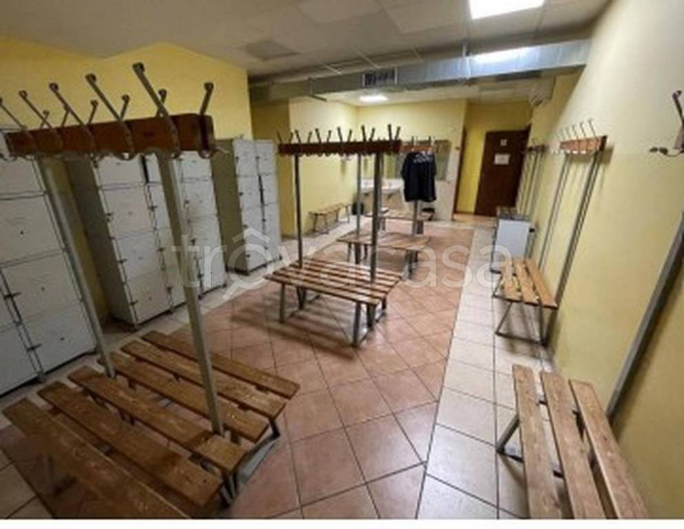 immagine annuncio 10 di 13