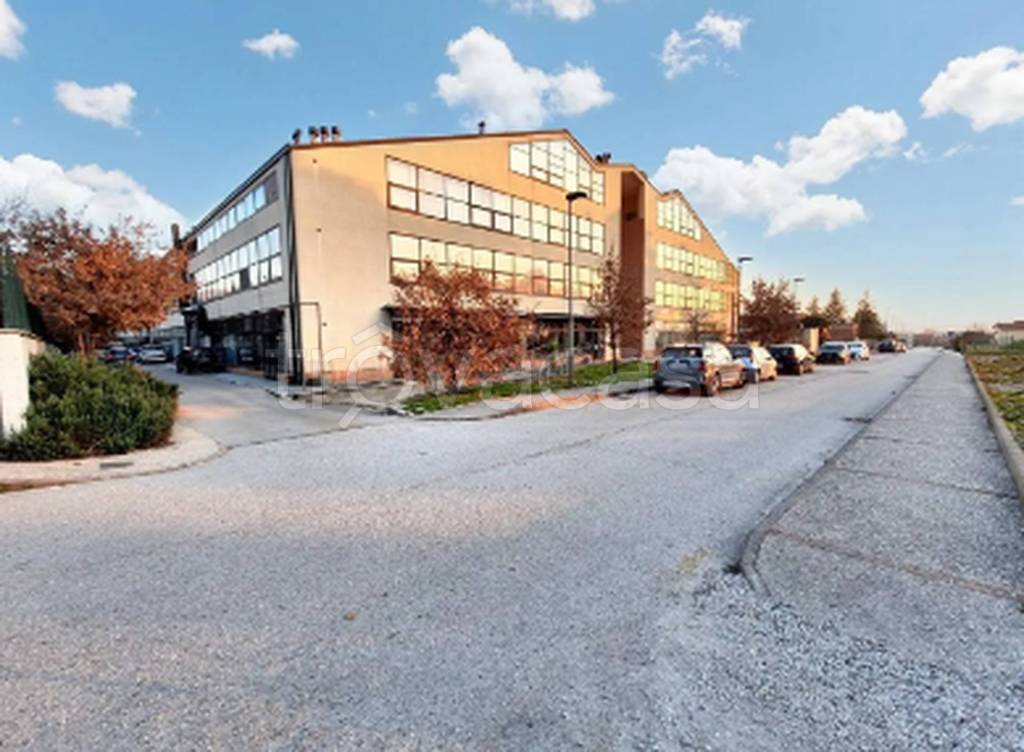 immagine annuncio 5 di 9