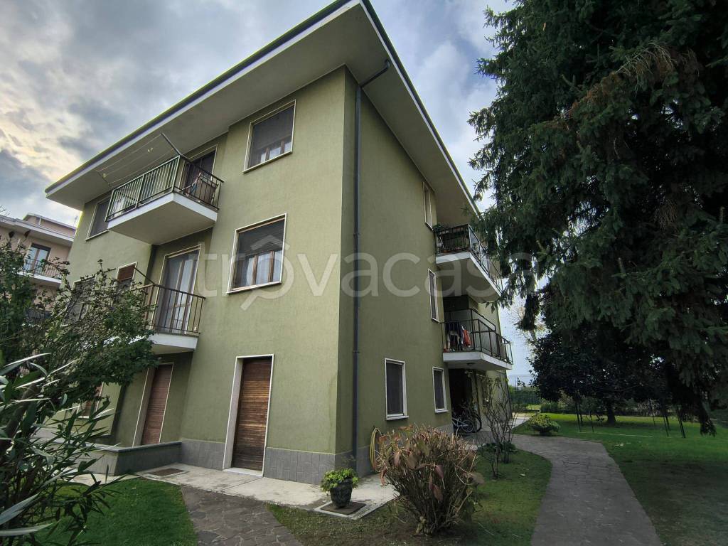 immagine annuncio 2 di 12