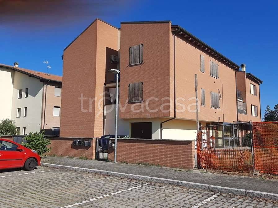 immagine annuncio 1 di 12