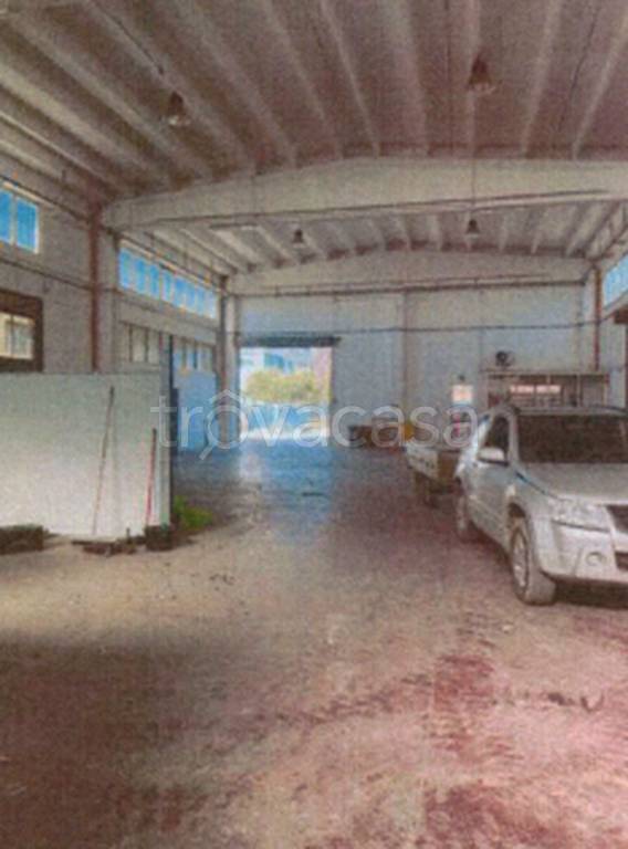 immagine annuncio 7 di 11