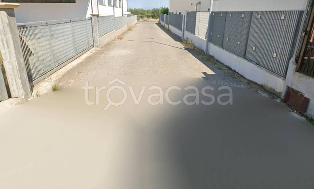 immagine annuncio 9 di 11